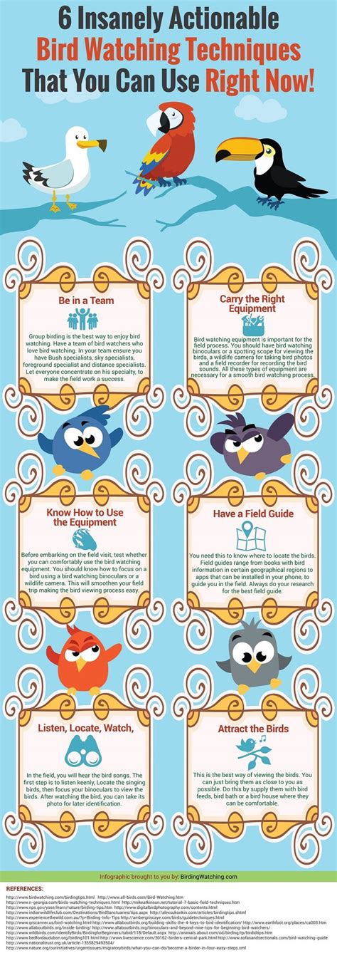 Bird Watching: 6 Birding Techniques Infographic - Bird Watching Tips & Tricks | Bird watching ...