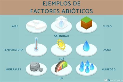 Factores abióticos: qué son, características y ejemplos - Resumen