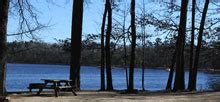 Little Pee Dee State Park - Campsite Photos, Camp Info & Reservations