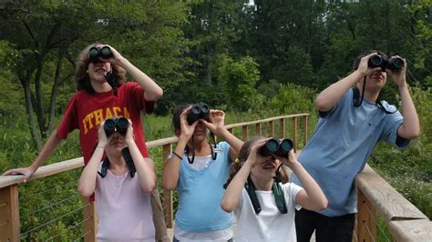 How To Choose The Right Binoculars For Birding