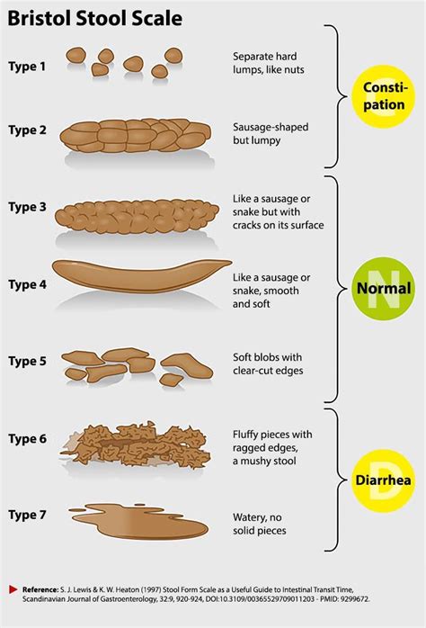 Printable Bristol Stool Chart – NBKomputer