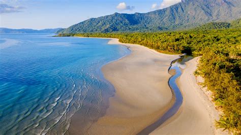 Bing HD Wallpaper Jul 5, 2024: Daintree Rainforest and Noah Beach ...