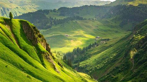 Aerial View Of Green Grass And Trees Covered Mountains HD Nature ...