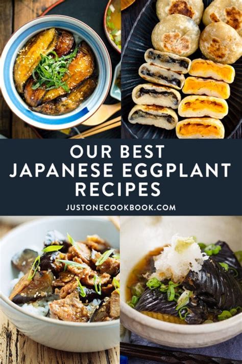 Our Best Japanese Eggplant Recipes • Just One Cookbook