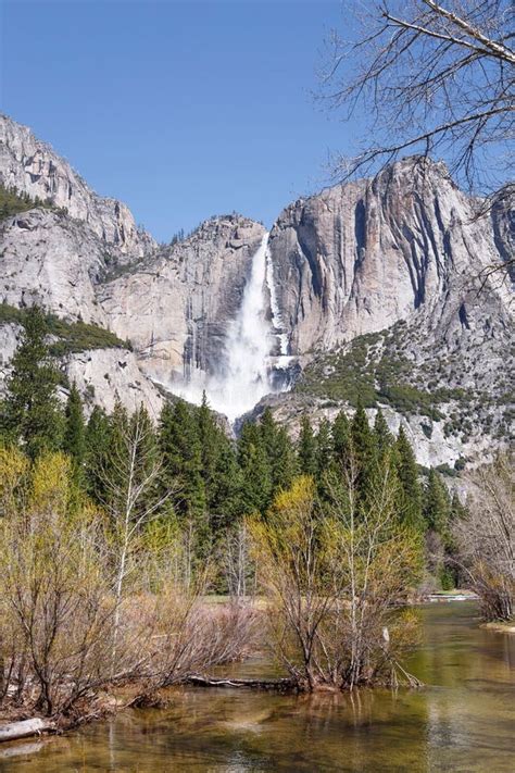 Yosemite Falls in Yosemite Valley, Yosemite National Park Stock Image ...