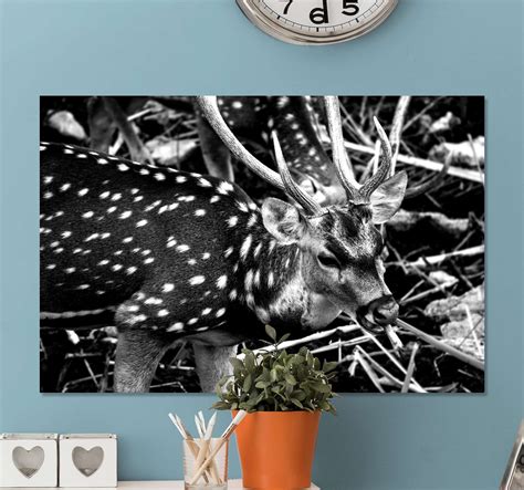 Black deer white dots stag canvas prints - TenStickers