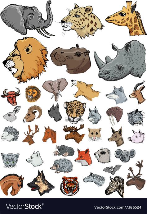 Set of of different kinds of mammals Royalty Free Vector