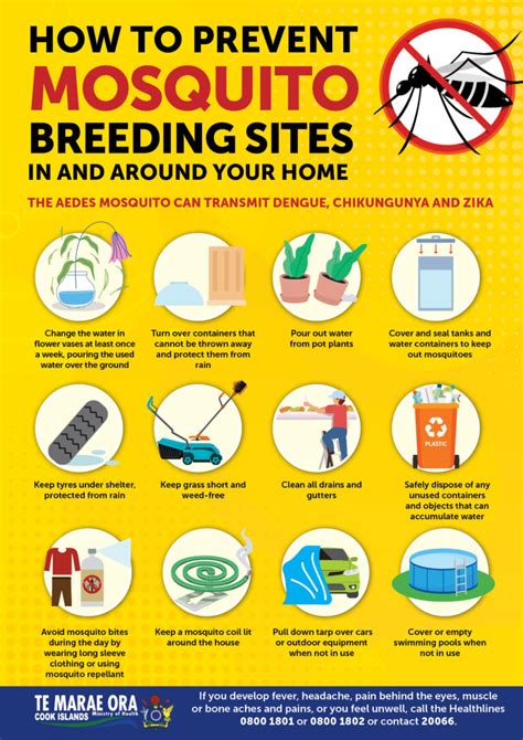 How to prevent mosquito breeding sites – Te Marae Ora Cook Islands ...