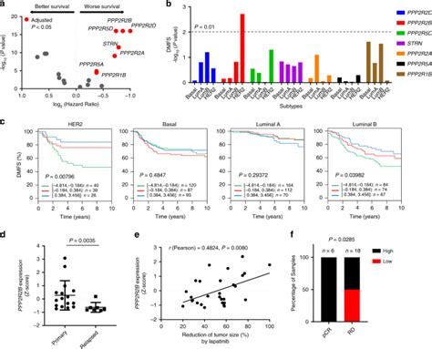 EZH2-mediated PP2A inactivation confers resistance to HER2-targeted ...