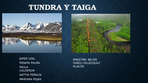 (PPT) Tundra y taiga | TANYA DEL CARMEN SIERRA PASAPERA - Academia.edu