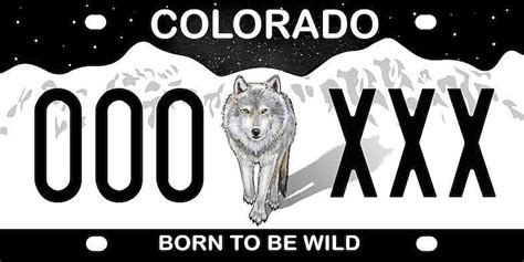 Colorado License Plate Options 2024 - jaine georgeta