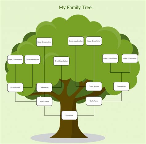 Family Tree Examples to Easily Visualize Your Family History