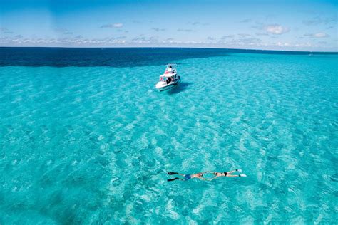 From Cancún: Cozumel Snorkeling Tour