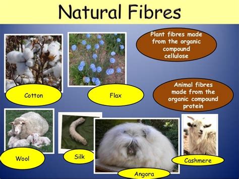 Fibre and hair analysis