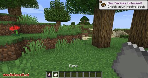 Bird Nests and Treasures Mod (1.16.5, 1.15.2) - Random Collectable Treasure - Mc-Mod.Net