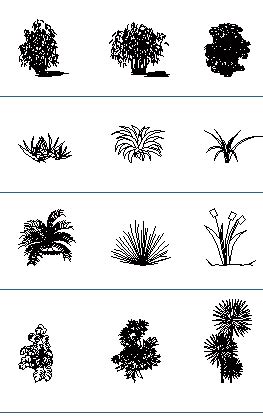 Shrubs Plants Cad Block - Garden Plant