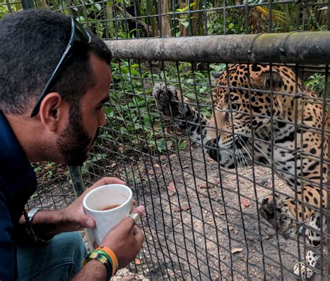 My trip to visit our Caribbean Wildlife project | Pod Volunteer