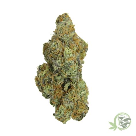 Buy Sugar Cookies Balanced Hybrid Strain in Canada