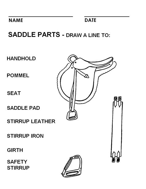 Printable Parts Of The Saddle Worksheet