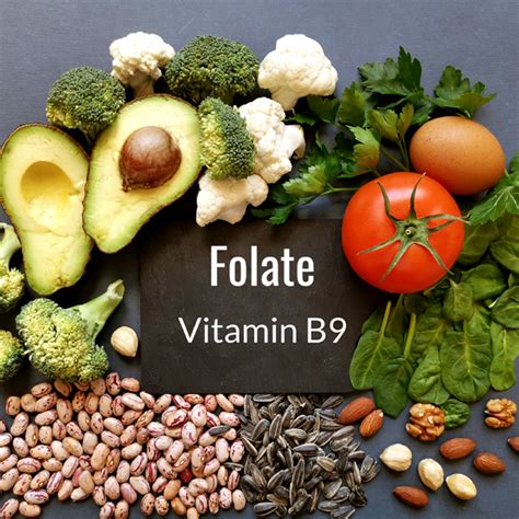 Folate and Folic Acid (Vitamin B9) | GastroLife