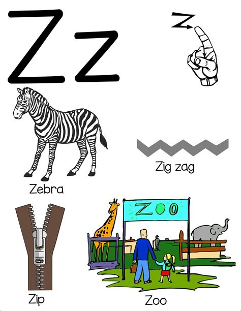 Letter Z flashcard with asl. | Alphabet worksheets preschool, Alphabet ...