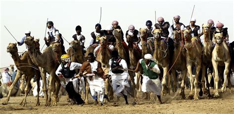 Camel Festival celebrates Emirati tradition - Arabianbusiness