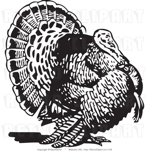 Turkey Logo Vector at Vectorified.com | Collection of Turkey Logo ...