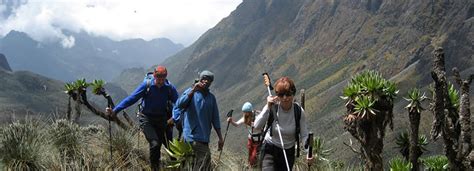 Mountain Rwenzori Hiking | My Uganda