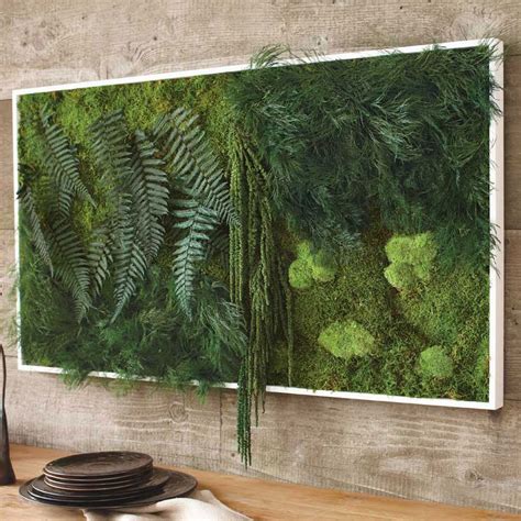 Fern And Moss Wall Art - The Green Head