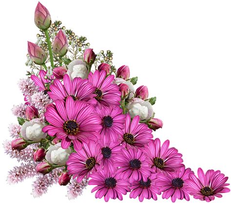 Bouquet Of Flowers Transparent Png