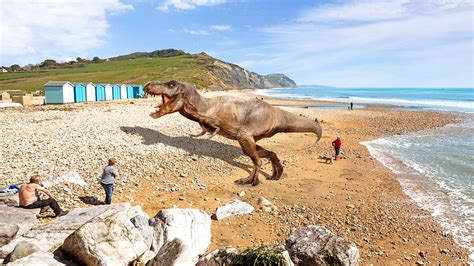 Ground-Breaking Discovery on the Jurassic Coast – Toad Hall Cottages Blog