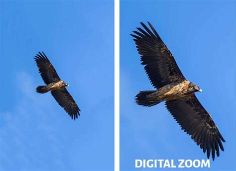 ZOOM in Photography (Optical & Digital) EXPLAINED - PhotographyAxis