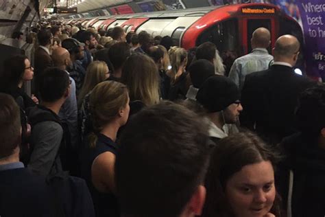 Victoria line delays: Commuters hit with 'grim' start to the week as entire line disrupted by ...