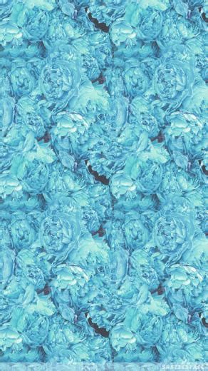 🔥 [40+] Blue Hydrangea Wallpapers | WallpaperSafari