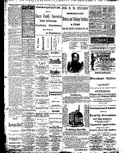 Michigan City Dispatch Archives, Dec 25, 1879, p. 4