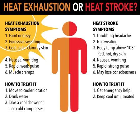 Safety Corner- Avoid Heat Stroke, Heat Exhaustion & Heat Cramps - Lead Staffing