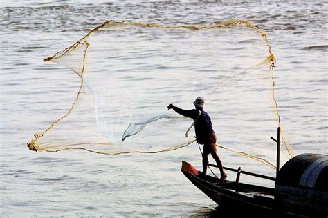 Nghề cá sông Mekong trước nguy cơ "tuyệt chủng"