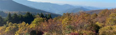 Art Loeb Spur Trail to Black Balsam Knob, North Carolina - 298 Reviews ...