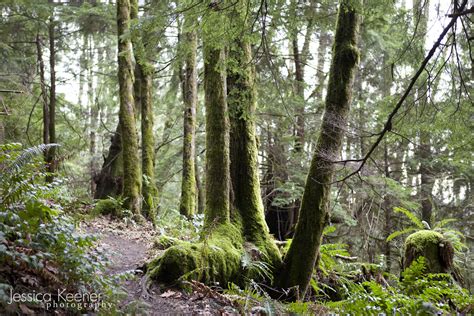 Jessica Keener Photography : Poo Poo Point • Hiking Trail Adventure • Issaquah, WA