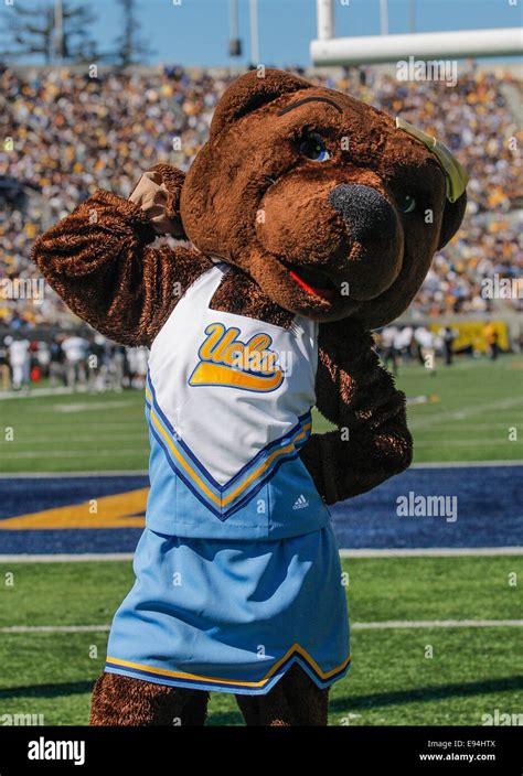 Ucla mascot hi-res stock photography and images - Alamy