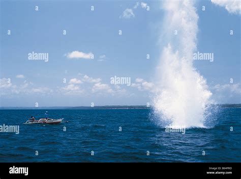 Dynamite fishing Stock Photo - Alamy