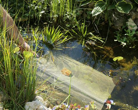 Pflanzenschutz und –pflege am Teich | Birchmeier Sprühtechnik AG