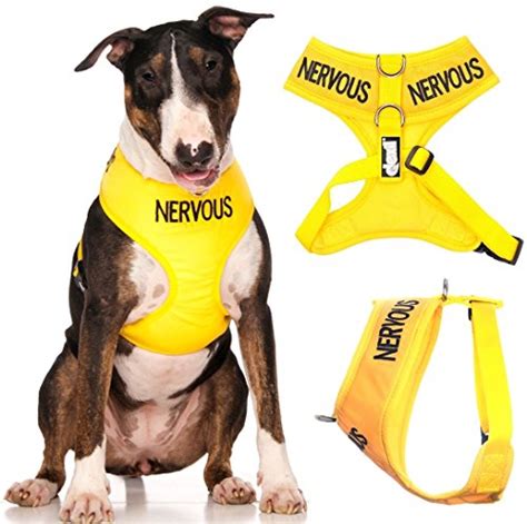 Buy Dexil Limited Nervous (Give Me Space) Yellow Color Coded Non-Pull Front and Back D Ring ...