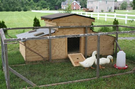 Micro Farm DUCK HUT Worklog