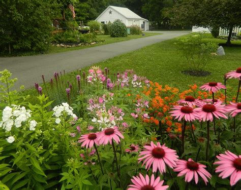 Pam's English Cottage Garden: English Cottage Garden Style for July GBBD - Five Years Later