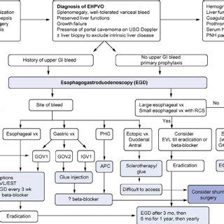 Treatment of noncirrhotic acute portal vein thrombosis (PVT). APC,... | Download Scientific Diagram