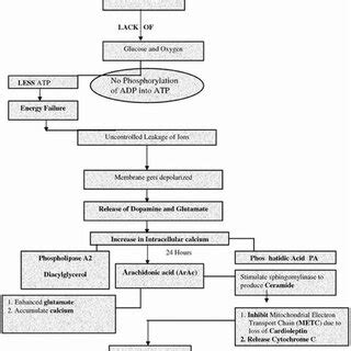 Illustration of ketamine's mechanism of action. | Download Scientific Diagram