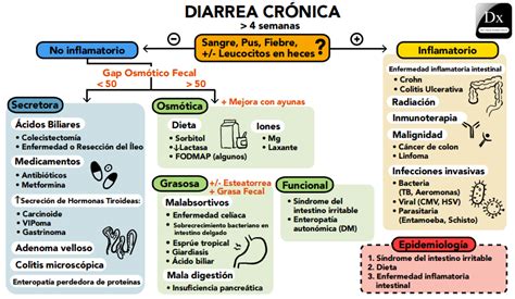 Diarrea Crónica – The Clinical Problem Solvers