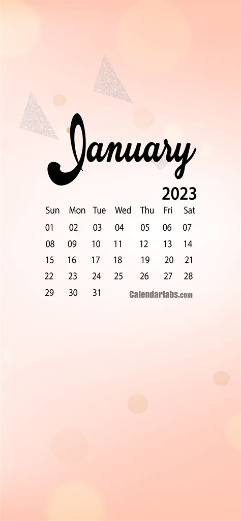 January 2023 Desktop Wallpaper Calendar - CalendarLabs