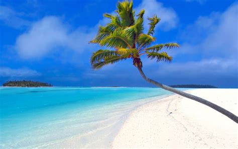 Guam Beaches Desktop Wallpaper 1920x1200, - Palm Tree Beach (#1069044) - HD Wallpaper ...